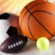 Five a day sports fest 2